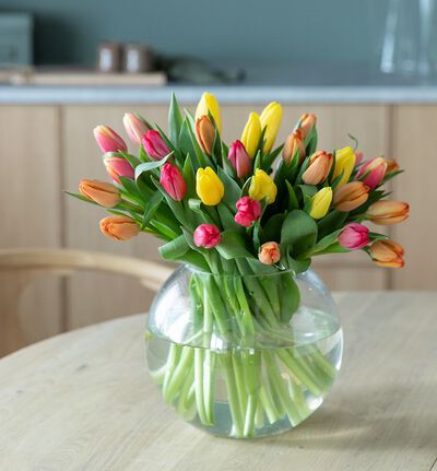 30 tulipaner varme farger